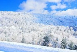 在线观看林海雪原