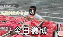 吃瓜今日爆料最新视频下载,最新视频下载全攻略