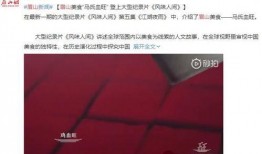 餐厅爆料师姐视频播放,视频揭秘美食背后的故事