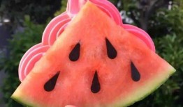 水冰月网红事件吃瓜,揭秘网络舆论的风暴与真相