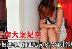 爆料大案少妇案件视频大全,视频大全背后的惊人真相