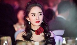 杨幂导演爆料吴京视频,揭秘动作巨星背后的奋斗历程