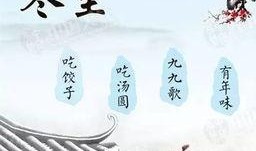 冬至餐饮视频爆料大全,揭秘各大餐饮品牌独家爆料大全