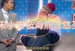 海燕爆料宋小宝视频全集,宋小宝视频全集曝光，笑料百出引热议