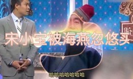 海燕爆料宋小宝视频全集,宋小宝视频全集曝光，笑料百出引热议