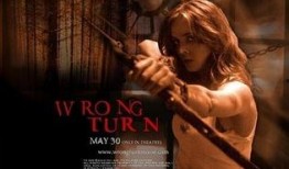 在线观看致命弯道,速度与激情的生死较量