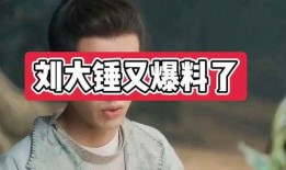 刘大锤最新爆料有哪些,揭秘娱乐圈惊人内幕