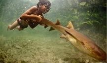 鳄雀鳝最新爆料图片,最新爆料图片曝光！