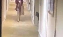 网友爆料男星视频下载安装,男星私密视频下载安装，真相揭秘！
