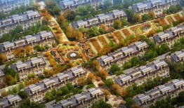 廊坊头条今日爆料