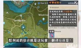 关于原神爆料的视频大全,视频大全深度解析，带你领略游戏魅力与幕后故事