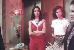 胭脂全集在线观看,一场跨越时空的浪漫传奇