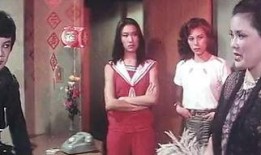 胭脂全集在线观看,一场跨越时空的浪漫传奇