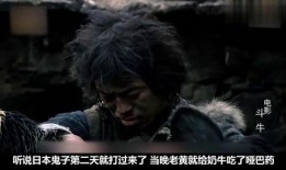 牛电影免费在线观看,畅享影视盛宴的便捷之道