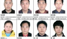 新闻爆料诈骗怎么举报的,共同打击新闻爆料诈骗行为