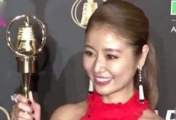 大琳爆料娱乐圈,大琳独家爆料，揭开明星背后的真相