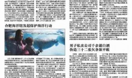 合肥作家爆料新闻最新报道,最新爆料新闻揭秘