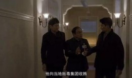 韩剧间谍在线观看,暗战风云，网络间的生死较量