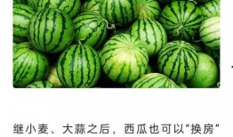 免费在线吃瓜,揭秘娱乐圈幕后故事