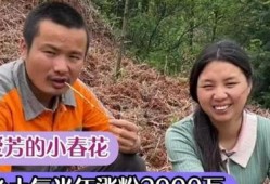 牛爱芳小春花爆料原视频,事件真相大起底