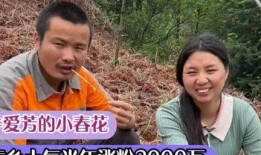 牛爱芳小春花爆料原视频,事件真相大起底