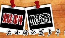 重庆敢爆料的新闻,敢爆料的新闻背后的真相与影响