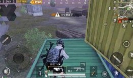 精英僵尸爆料视频下载安装,下载安装流程全解析