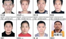新闻爆料诈骗怎么举报的,共同打击新闻爆料诈骗行为