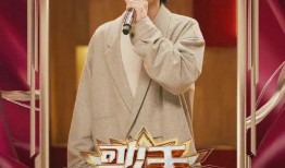 在线观看歌手当打之年,青春热血，音乐盛宴