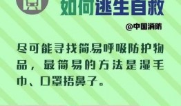 地铁逃生最新爆料纪念,揭秘最新爆料，致敬无畏英雄