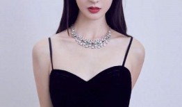 龙女娱乐圈爆料,揭秘明星幕后故事