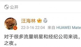 娱乐大爆料大瓜是谁说的,是谁在幕后操控？