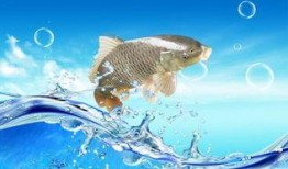 鳄雀鳝最新爆料图片,最新爆料图片曝光！